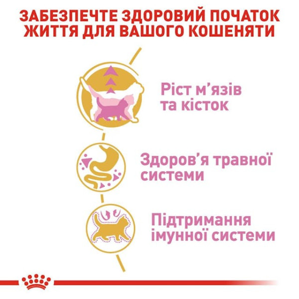 Сухий корм для кошенят породи Британська короткошерстна Royal Canin Kitten British Shorthair 400 г Сухий корм для кошенят породи Британська короткошерстна Royal Canin Kitten British Shorthair 400 г