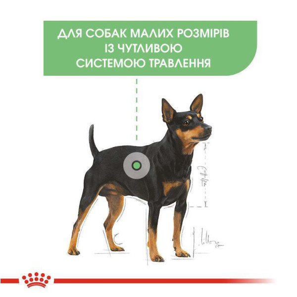 Сухий корм Royal Canin (Роял Канін) Mini Digestive care (Sensible) для собак з чутливим травленням 3 кг