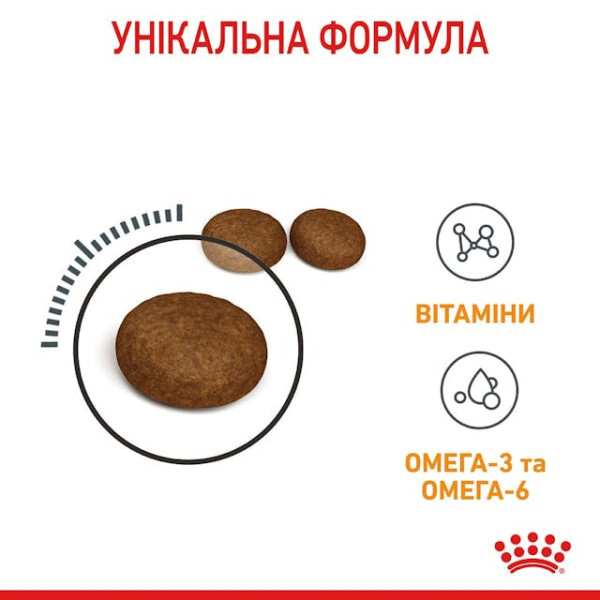 Сухий корм для котів з проблемною шерстю Royal Canin Hair & Skin Care 400 г