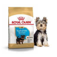 Сухий корм Royal Canin (Роял Канін) Yorkshire Terrier Puppy для цуценят породи Йоркширський Тер'єр 500 г