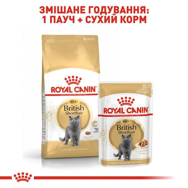 Сухий корм для дорослих котів породи Британська короткошерстна Royal Canin British Shorthair Adult 10 кг