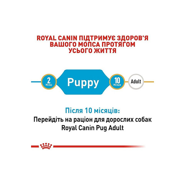 Сухий корм для цуценят породи Мопс Royal Canin Pug Puppy 1.5 кг