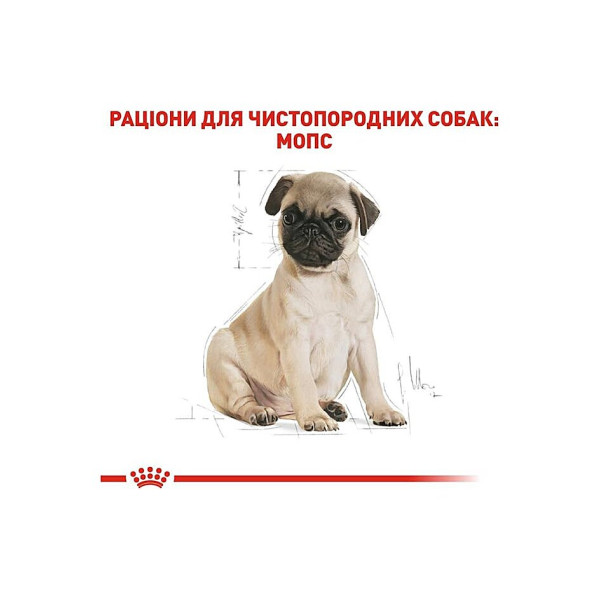 Сухий корм для цуценят породи Мопс Royal Canin Pug Puppy 1.5 кг