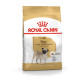 Сухий корм для дорослих собак породи Мопс Royal Canin Pug Adult 1.5 кг
