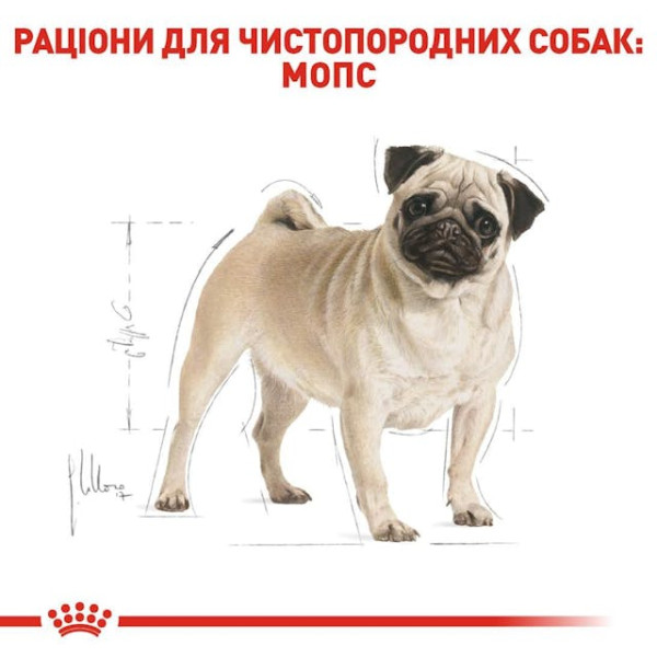 Сухий корм для дорослих собак породи Мопс Royal Canin Pug Adult 1.5 кг