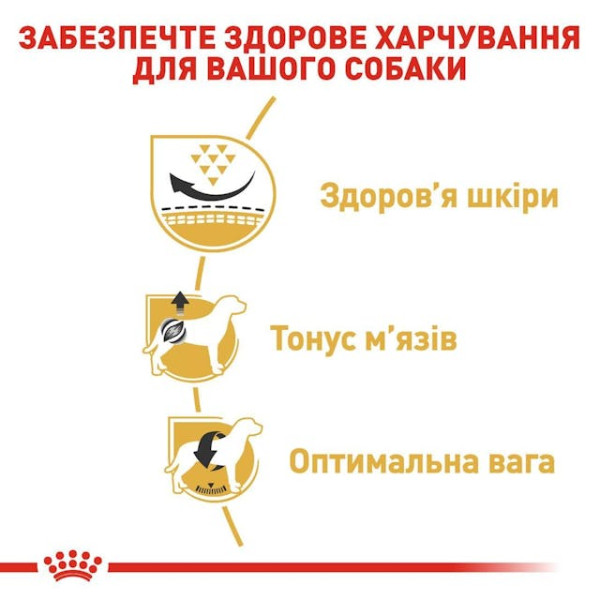 Сухий корм для дорослих собак породи Мопс Royal Canin Pug Adult 1.5 кг