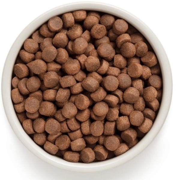 Сухий корм Grandorf (Грандорф) Duck & Turkey Medium & Maxi для собак з м'яcом качки та індички 10 кг