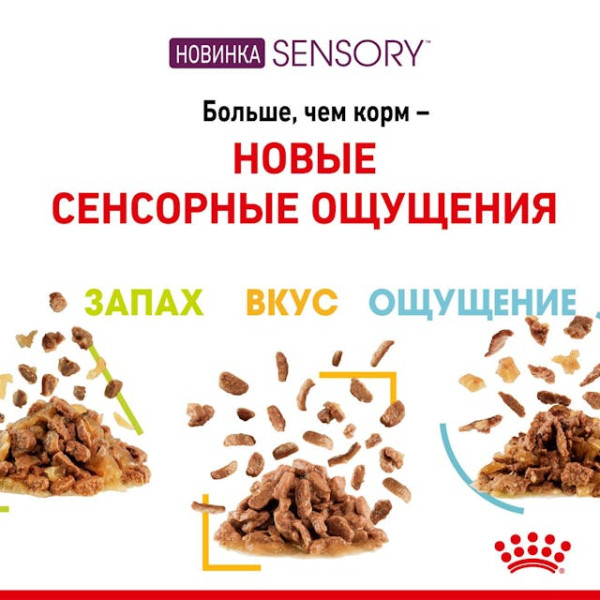 Вологий корм Royal Canin Sensory Taste для вибагливих котів (шматочки у соусі) 85 г