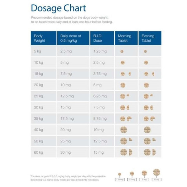 Препарат для лікування серцево-судинних захворювань у собак Кардішур (Cardisure) by Dechra Limited №10 blister 2.5 мг Препарат для лікування серцево-судинних захворювань у собак Кардішур (Cardisure) by Dechra Limited №10 blister 2.5 мг