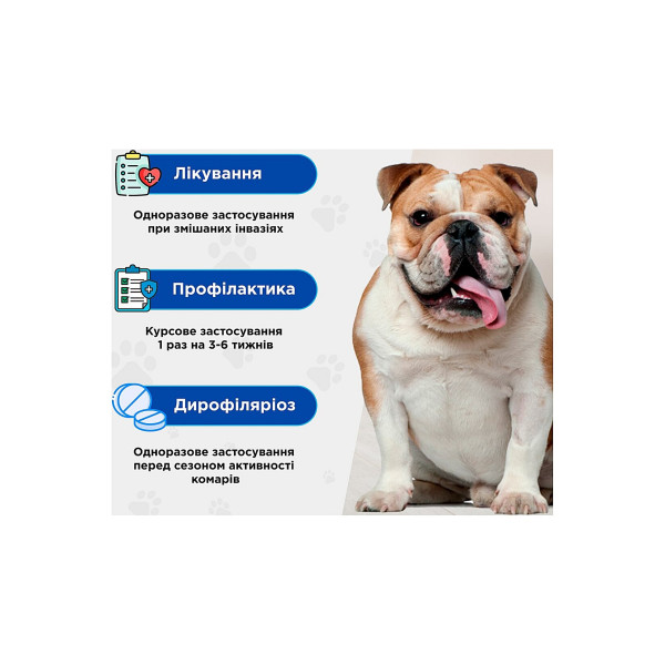 Таблетки протипаразитарні Квадромідас ModeS для собак від 8 до 16 кг 0,8 г від бліх, кліщів, гельмінтів №1