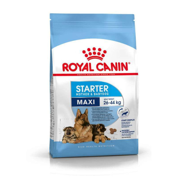Сухий корм для цуценят і годуючих самок великих порід Royal Canin Maxi Starter Mother&Babydog 4 кг