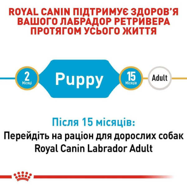 Сухий корм для цуценят породи Лабрадор Royal Canin Labrador Retriever Puppy 3 кг