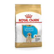 Сухий корм для цуценят породи Лабрадор Royal Canin Labrador Retriever Puppy 12 кг