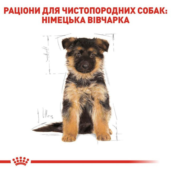Сухий корм для цуценят породи Німецької Вівчарки Royal Canin German Shepherd Puppy