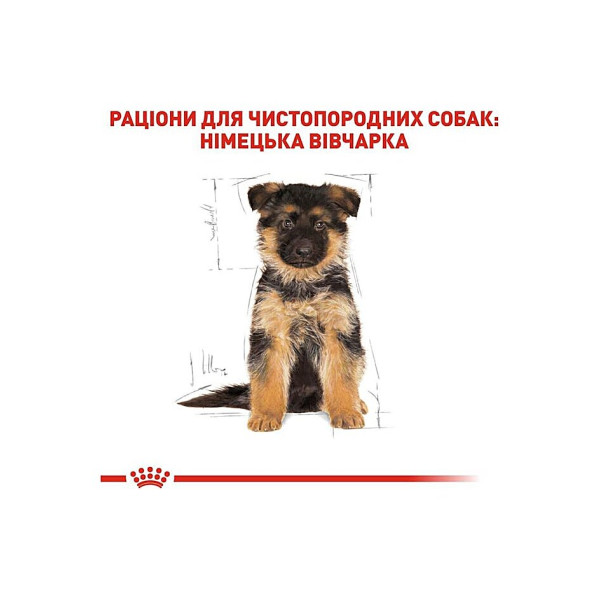 Сухий корм для цуценят породи Німецької Вівчарки Royal Canin German Shepherd Puppy 12 кг