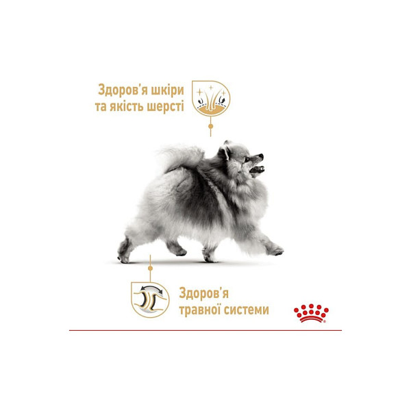 Вологий корм для дорослих собак породи Померанський шпіц (паштет) Royal Canin Pomeranian Loaf 85 г
