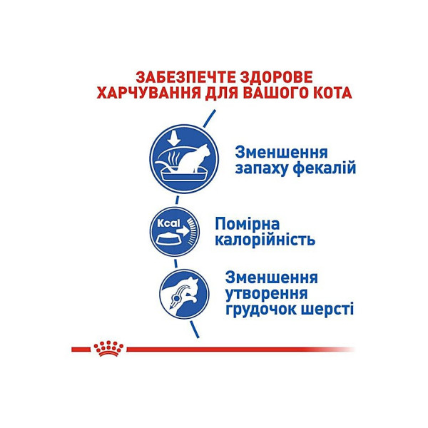 Сухий корм для домашніх котів Royal Canin Indoor 4 кг