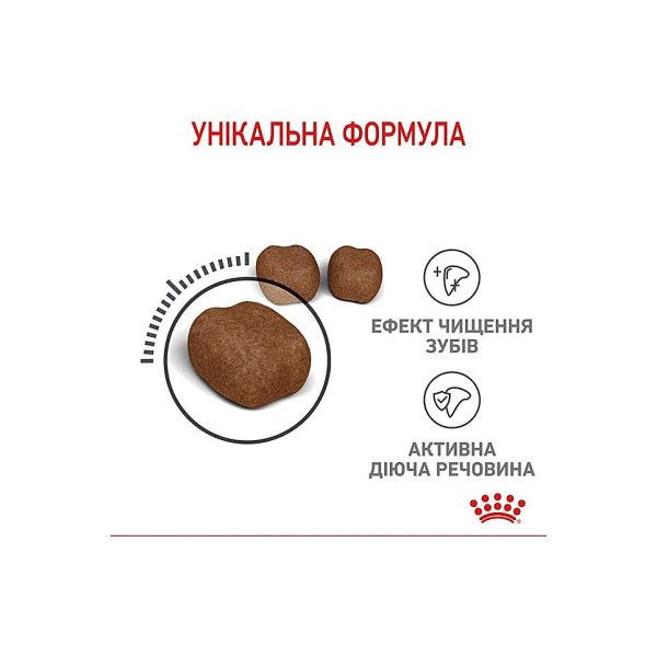 Сухий корм для котів запобігання утворення зубного нальоту Royal Canin Dental Care 1.5 кг