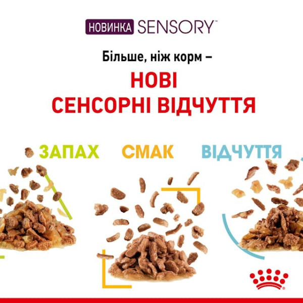 Вологий корм для вибагливих котів (шматочки у соусі) Royal Canin Sensory Feel 85 г Вологий корм для вибагливих котів (шматочки у соусі) Royal Canin Sensory Feel 85 г