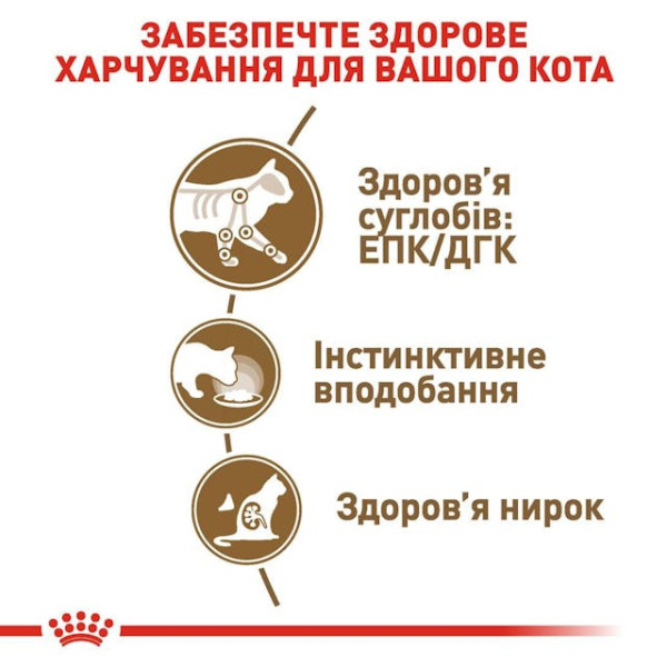 Вологий корм для літніх котів (шматочки у соусі) Royal Canin Ageing 12 plus Gravy 85 г