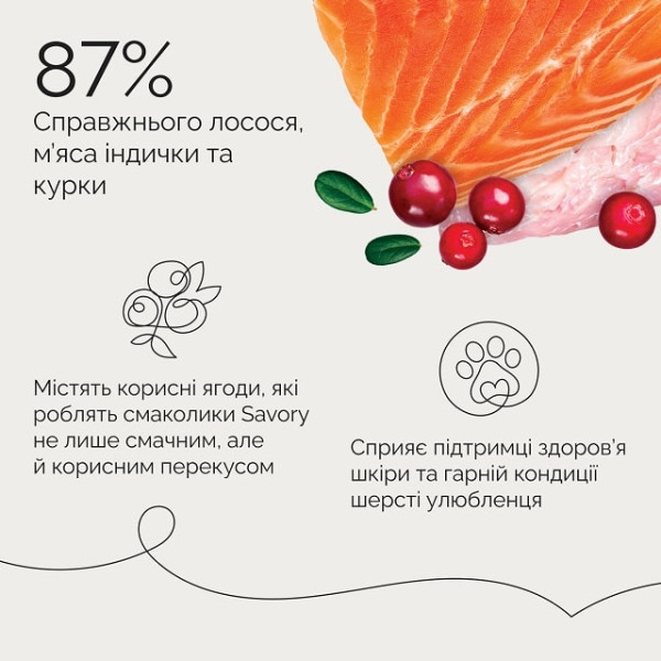 Джерки Savory Bars With Salmon, батончики з лососем 100 г