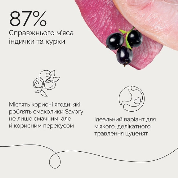 Джерки Savory Puppy Coins With Turkey, монетки для цуценят з індичкою 100 г