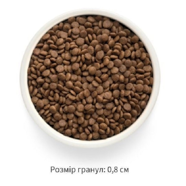 Сухий корм для стерилізованих котів качка з бататом Grandorf Fresh Duck & Sweet Potato Adult Cat Sterilised 400 г Сухий корм для стерилізованих котів качка з бататом Grandorf Fresh Duck & Sweet Potato Adult Cat Sterilised 400 г