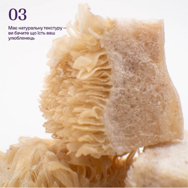 Ласощі для котів Cosset Ліофілізований яловичий шлунок 40 г