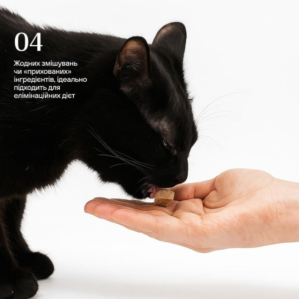 Ласощі для котів Cosset Ліофілізовані курячі серця 40 г Ласощі для котів Cosset Ліофілізовані курячі серця 40 г