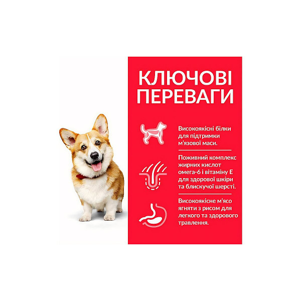 Сухий корм Hill's Science Plan Adult Small & Miniature Lamb & Riceз ягням і рисом для дорослих собак дрібних і міні порід 1.5 кг