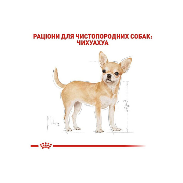 Вологий корм для дорослих собак породи Чихуахуа (паштет) Royal Canin Chihuahua Adult 85 г