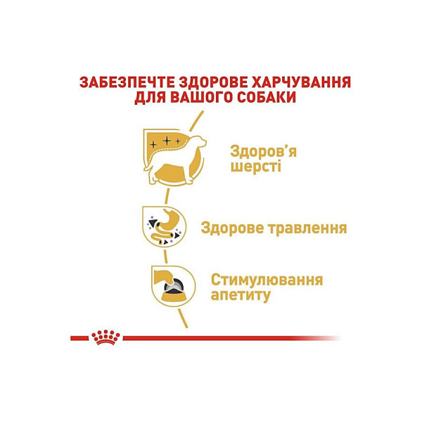 Вологий корм для дорослих собак породи Чихуахуа (паштет) Royal Canin Chihuahua Adult 85 г