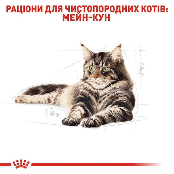 Вологий корм для дорослих котів породи Мейн-Кун (шматочки у соусі) Royal Canin Maine Coon Adult 85 г