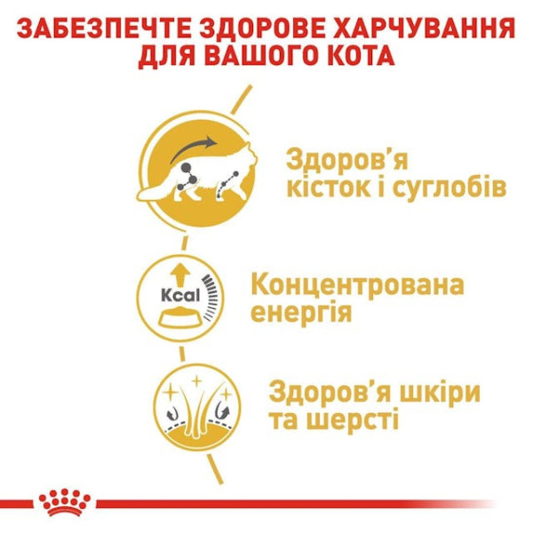 Вологий корм для дорослих котів породи Мейн-Кун (шматочки у соусі) Royal Canin Maine Coon Adult 85 г