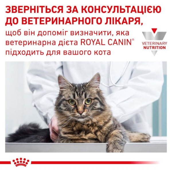 Сухий дієтичний корм для котів при захворюванні нирок Royal Canin Renal 2 кг