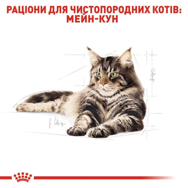 Сухий корм для дорослих котів породи Мейн-Кун Royal Canin Maine Coon Adult 2 кг