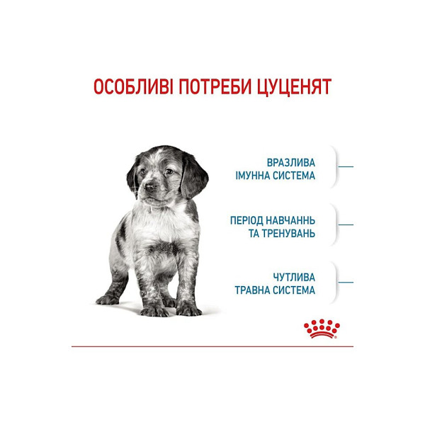 Сухий корм з м'ясом птиці для цуценят собак середніх порід Royal Canin Medium Puppy 4 кг