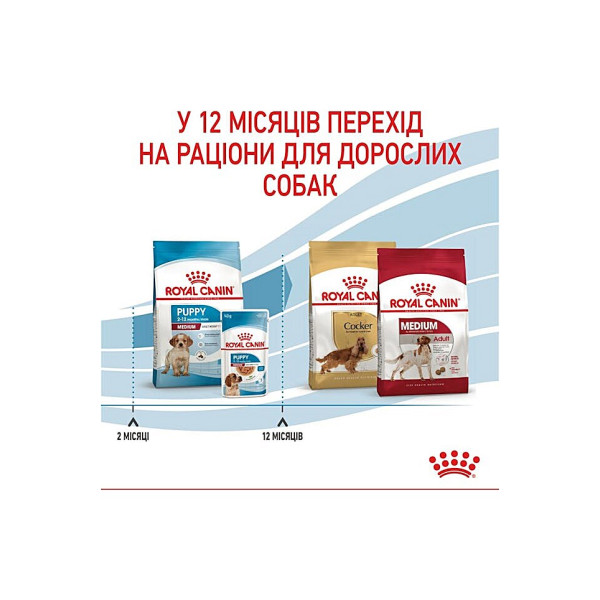 Сухий корм з м'ясом птиці для цуценят собак середніх порід Royal Canin Medium Puppy 4 кг