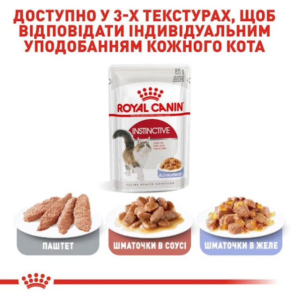 Вологий корм для дорослих котів (шматочки у желе) Royal Canin Instinctive Jelly 85 г