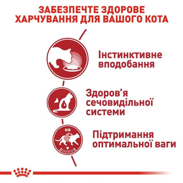 Вологий корм для дорослих котів (шматочки у желе) Royal Canin Instinctive Jelly 85 г