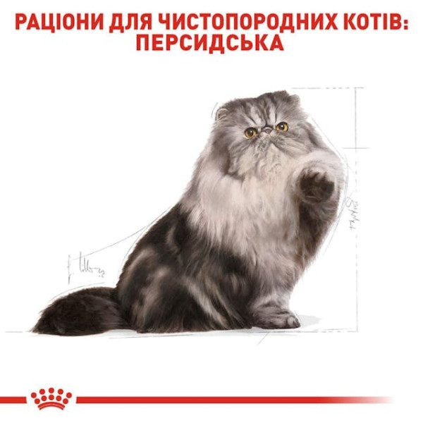 Сухий корм для дорослих Персидських кішок Royal Canin Persian Adult 2 кг
