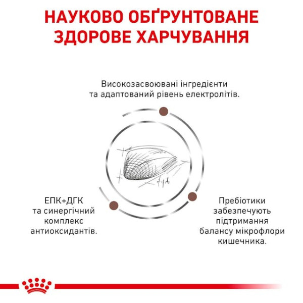 Сухий дієтичний корм для котів при розладах травлення Royal Canin Gastrointestinal Cat 2 кг