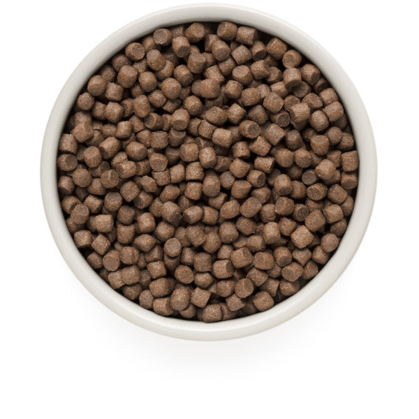 Сухий корм Grandorf (Грандорф) 4 Meat Adult Mini Breeds PROBIOTIC 4 м'ясо Підтримка травлення та імунітету з пробіотиками для собак 1 кг