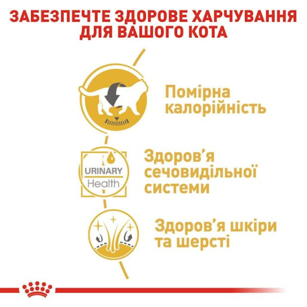 Сухий корм для дорослих котів породи Британська короткошерстна Royal Canin British Shorthair Adult 2 кг