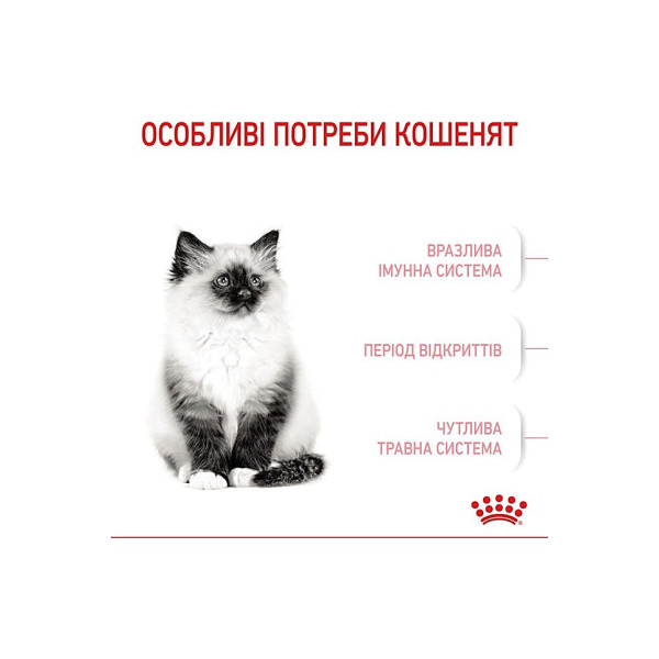 Сухий корм для кошенят від 4 до 12 місяців Royal Canin Kitten 2 кг