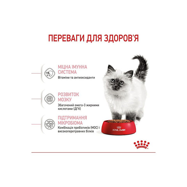 Сухий корм для кошенят від 4 до 12 місяців Royal Canin Kitten 2 кг