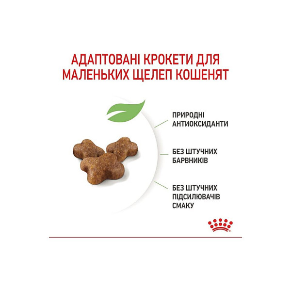Сухий корм для кошенят від 4 до 12 місяців Royal Canin Kitten 2 кг