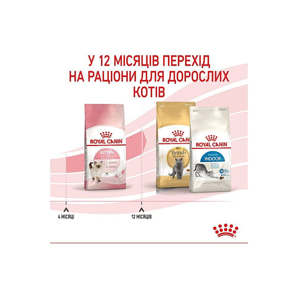 Сухий корм для кошенят від 4 до 12 місяців Royal Canin Kitten 2 кг