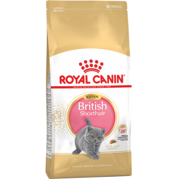 Сухий корм Royal Canin (Роял Канін) Kitten British Shorthair для кошенят породи Британська короткошерстна від 4 до 12 місяців 2 кг