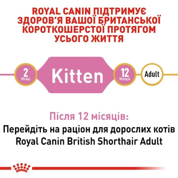 Сухий корм для кошенят породи Британська короткошерстна Royal Canin Kitten British Shorthair 2 кг Сухий корм для кошенят породи Британська короткошерстна Royal Canin Kitten British Shorthair 2 кг